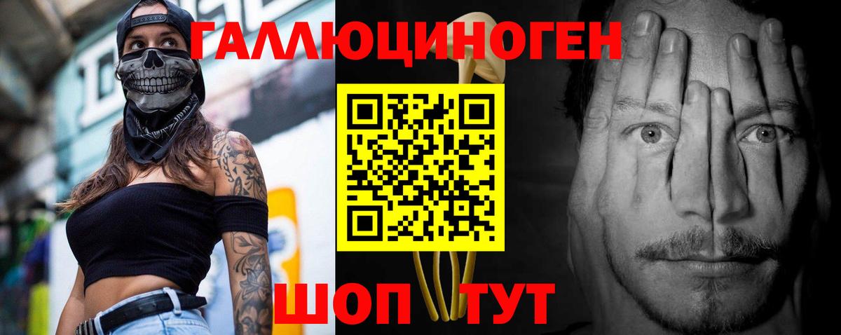 Галлюциногенные грибы Psilocybe  Псилоцибиновые грибы GOLDEN TEACHER  купить  сайты  Вход с VPN  Белорецк 